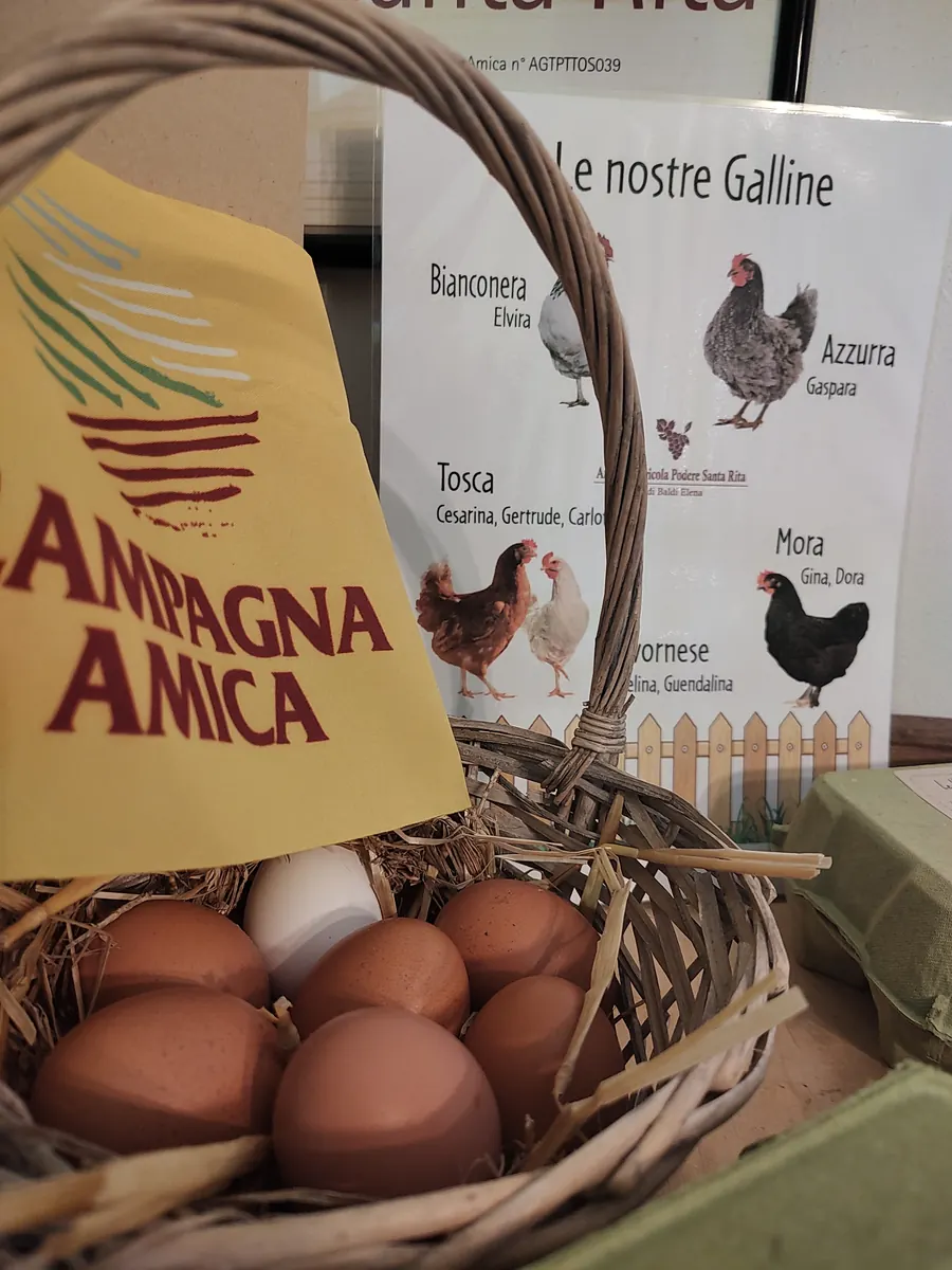 Il cartello «Le nostre galline» con i nomi di ciascuna, accanto a un cesto di uova
