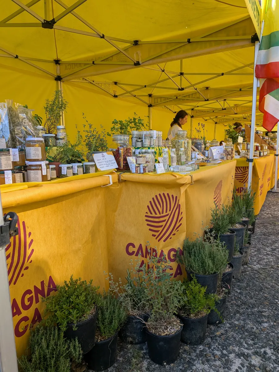 Piantine aromatiche in vaso al banco del mercato