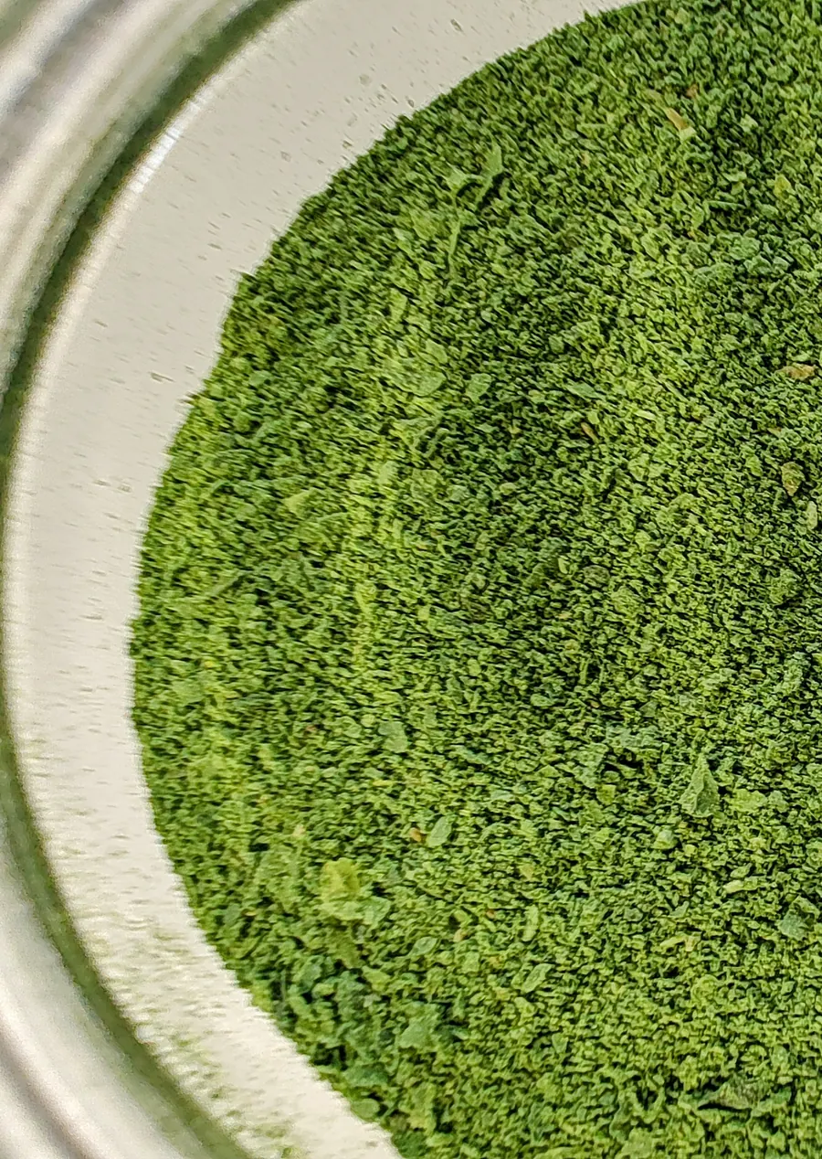 Polvere di cavolo nero