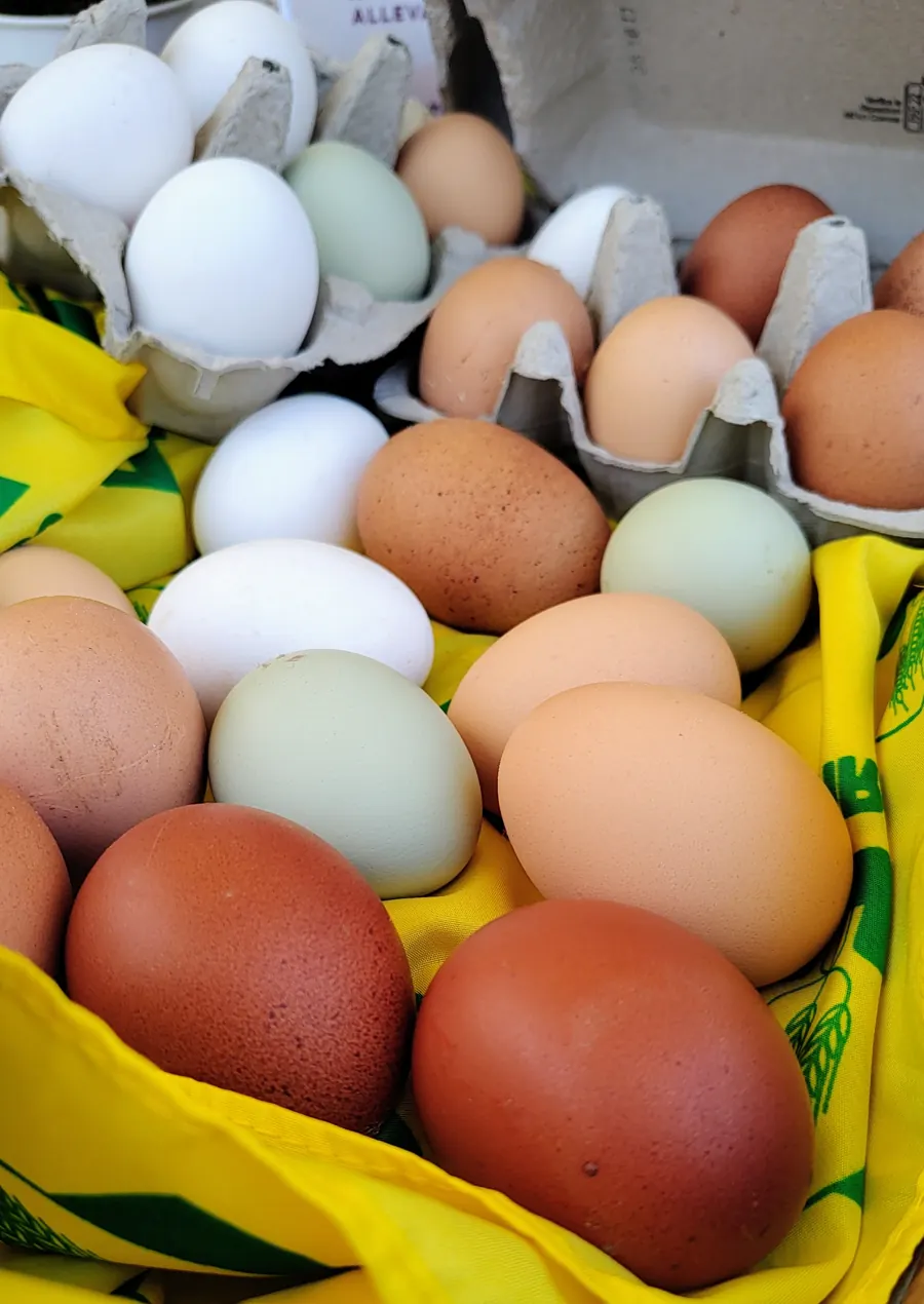 Uova bianche, verdi e marroni nel cesto al mercato